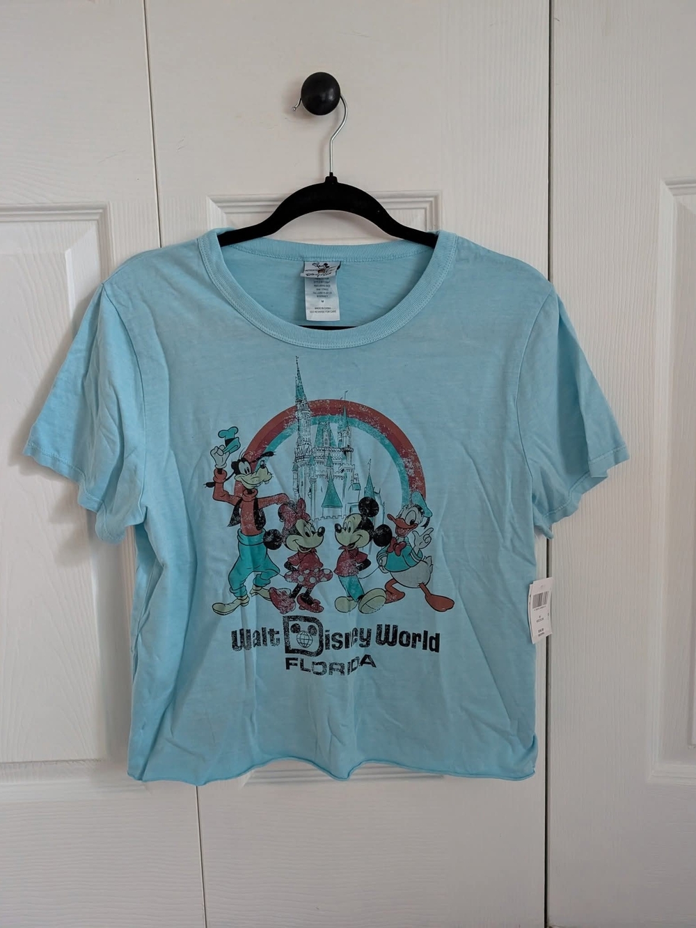 Disney World Florida Light Blue Cropped Graphic Tee